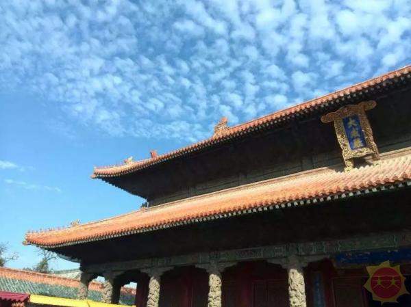 山东，盛世繁华超越传奇的壮丽篇章