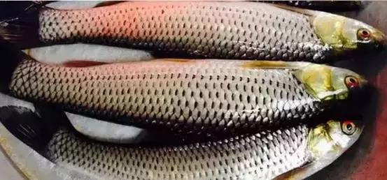 碧海蓝天映海南,历史回响之旅