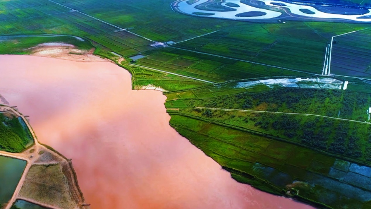 宁夏古城茶香古韵一瞥