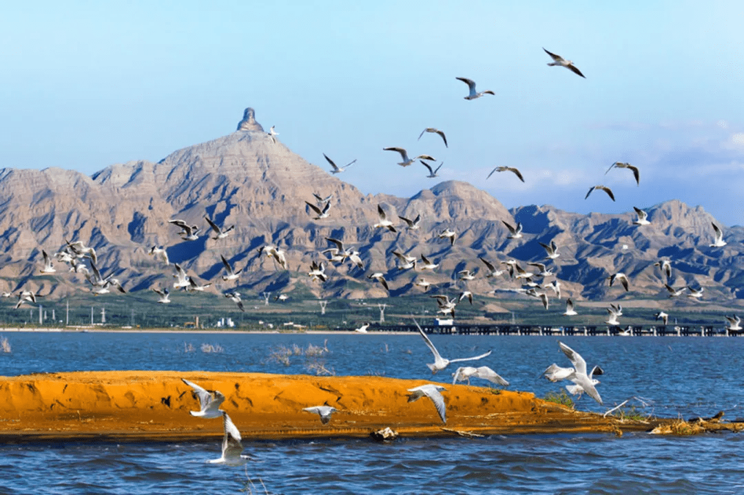 乌海,沙漠中的璀璨明珠之城