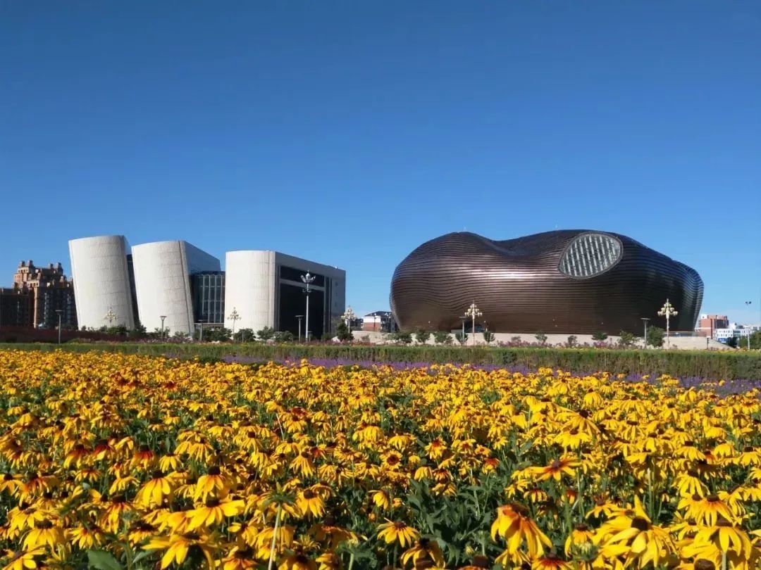 鄂尔多斯的历史变迁与现代发展研究